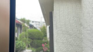 網戸張り替え！！